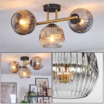 Ripoll Plafondlamp, Kogellampje Goud, Zwart, 3-lichts