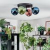 Gastor Plafondlamp, Kogellampje Blauw, Groen, Koperkleurig, 4-lichts