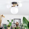 Chehalis Plafondlamp, Kogellampje Goud, Zwart, 3-lichts