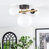 Chehalis Plafondlamp, Kogellampje Goud, Zwart, 3-lichts