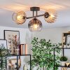 Koyoto Plafondlamp, Kogellampje Amber, Duidelijk, Rookkleurig, 3-lichts