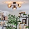 Koyoto Plafondlamp, Kogellampje Amber, Duidelijk, Rookkleurig, 3-lichts