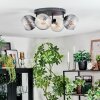 Koyoto Plafondlamp, Kogellampje Amber, Duidelijk, Rookkleurig, 4-lichts