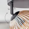 Koyoto Plafondlamp, Kogellampje Amber, Duidelijk, Rookkleurig, 4-lichts