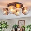 Koyoto Plafondlamp, Kogellampje Amber, Duidelijk, Rookkleurig, 4-lichts