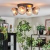Koyoto Plafondlamp, Kogellampje Amber, Duidelijk, Rookkleurig, 4-lichts