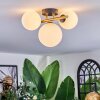Chehalis Plafondlamp, Kogellampje Goud, Zwart, 3-lichts