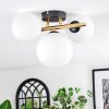Chehalis Plafondlamp, Kogellampje Goud, Zwart, 3-lichts