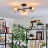 Koyoto Plafondlamp, Kogellampje Amber, Duidelijk, 3-lichts
