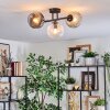 Ripoll Plafondlamp, Kogellampje Amber, Duidelijk, Rookkleurig, 3-lichts