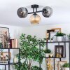 Ripoll Plafondlamp, Kogellampje Amber, Rookkleurig, 3-lichts