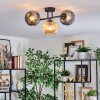 Ripoll Plafondlamp, Kogellampje Amber, Rookkleurig, 3-lichts