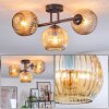 Ripoll Plafondlamp, Kogellampje Amber, 3-lichts