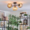 Ripoll Plafondlamp, Kogellampje Amber, 3-lichts
