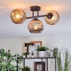 Ripoll Plafondlamp, Kogellampje Amber, Rookkleurig, 3-lichts