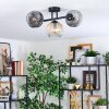 Ripoll Plafondlamp, Kogellampje Amber, Duidelijk, Rookkleurig, 3-lichts