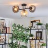 Ripoll Plafondlamp, Kogellampje Amber, Duidelijk, Rookkleurig, 3-lichts