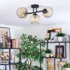 Ripoll Plafondlamp, Kogellampje Amber, Duidelijk, 3-lichts