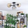 Ripoll Plafondlamp, Kogellampje Amber, Duidelijk, Rookkleurig, 3-lichts
