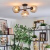 Ripoll Plafondlamp, Kogellampje Amber, Duidelijk, Rookkleurig, 3-lichts