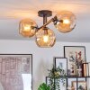 Koyoto Plafondlamp, Kogellampje Amber, 3-lichts
