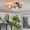 Koyoto Plafondlamp, Kogellampje Amber, Duidelijk, Rookkleurig, 3-lichts