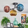 Koyoto Plafondlamp, Kogellampje Blauw, Goud, Koperkleurig, 3-lichts