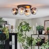 Koyoto Plafondlamp, Kogellampje Amber, Duidelijk, Rookkleurig, 4-lichts