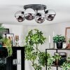 Koyoto Plafondlamp, Kogellampje Chroom, Rookkleurig, 4-lichts