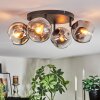 Ripoll Plafondlamp, Kogellampje Amber, Duidelijk, 4-lichts