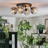 Ripoll Plafondlamp, Kogellampje Duidelijk, Rookkleurig, 4-lichts