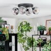 Ripoll Plafondlamp, Kogellampje Duidelijk, Rookkleurig, 4-lichts