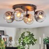 Ripoll Plafondlamp, Kogellampje Amber, Duidelijk, Rookkleurig, 4-lichts