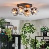 Ripoll Plafondlamp, Kogellampje Amber, Duidelijk, Rookkleurig, 4-lichts
