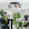Ripoll Plafondlamp, Kogellampje Amber, Duidelijk, Rookkleurig, 4-lichts