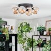Koyoto Plafondlamp, Kogellampje Amber, 4-lichts