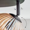 Koyoto Plafondlamp, Kogellampje Amber, 4-lichts