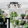 Ripoll Plafondlamp, Kogellampje Amber, Duidelijk, Rookkleurig, 4-lichts