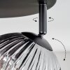 Ripoll Plafondlamp, Kogellampje Amber, Duidelijk, Rookkleurig, 4-lichts