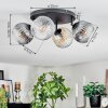 Ripoll Plafondlamp, Kogellampje Amber, Duidelijk, Rookkleurig, 4-lichts