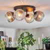 Ripoll Plafondlamp, Kogellampje Amber, Duidelijk, Rookkleurig, 4-lichts