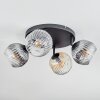 Ripoll Plafondlamp, Kogellampje Amber, Duidelijk, Rookkleurig, 4-lichts