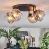 Ripoll Plafondlamp, Kogellampje Amber, Duidelijk, Rookkleurig, 4-lichts