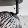 Ripoll Plafondlamp, Kogellampje Rookkleurig, 4-lichts