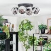 Ripoll Plafondlamp, Kogellampje Chroom, Rookkleurig, 4-lichts
