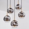 Ripoll Hanglamp, Kogellampje, Hanglamp Goud, Zwart, 5-lichts