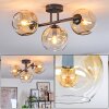 Ripoll Plafondlamp, Kogellampje Amber, Duidelijk, 3-lichts