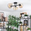 Ripoll Plafondlamp, Kogellampje Amber, Duidelijk, 3-lichts