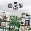 Ripoll Plafondlamp, Kogellampje Chroom, Duidelijk, Rookkleurig, 3-lichts