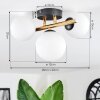 Chehalis Plafondlamp, Kogellampje Goud, Zwart, 3-lichts